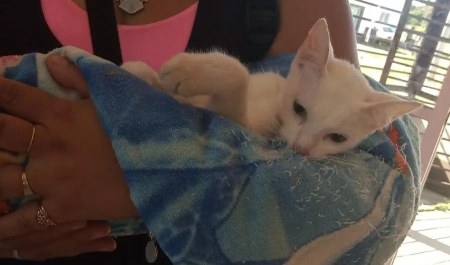 b06bdc99-34c8-45d6-b5b4-081856c68ad1