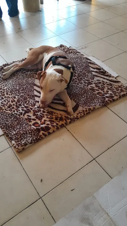 468543925_884647240520968_5675668643610939431_n