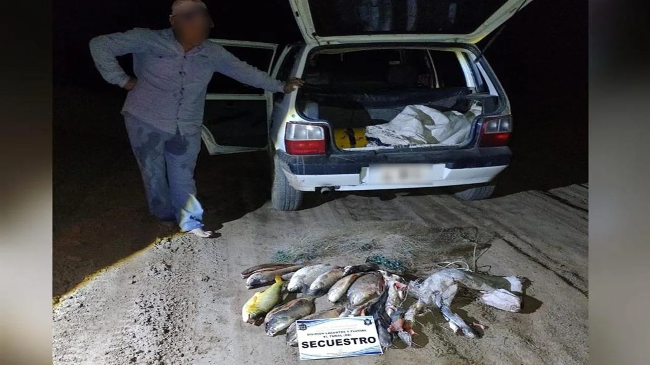 wmremove-transformed