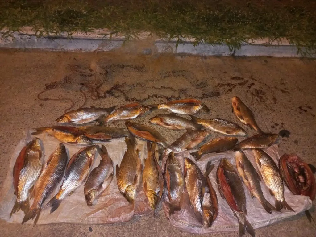 WhatsApp-Image-2025-03-06-at-11.39.02-AM-1024x768