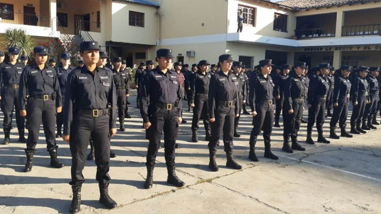 Sin título-1
