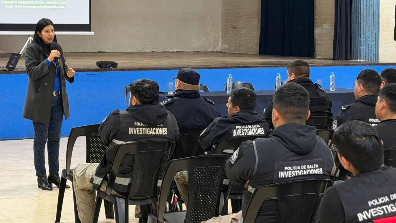 Sin título-1