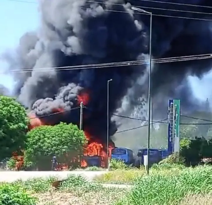 WhatsApp Image 2024-10-25 at 12.59.26 PM