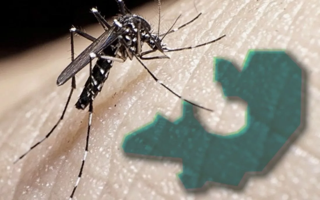 Dengue