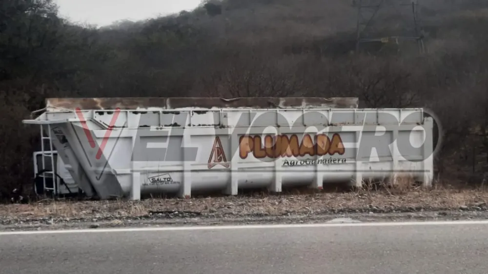 WhatsApp Image 2024-09-11 at 6.14.06 PM