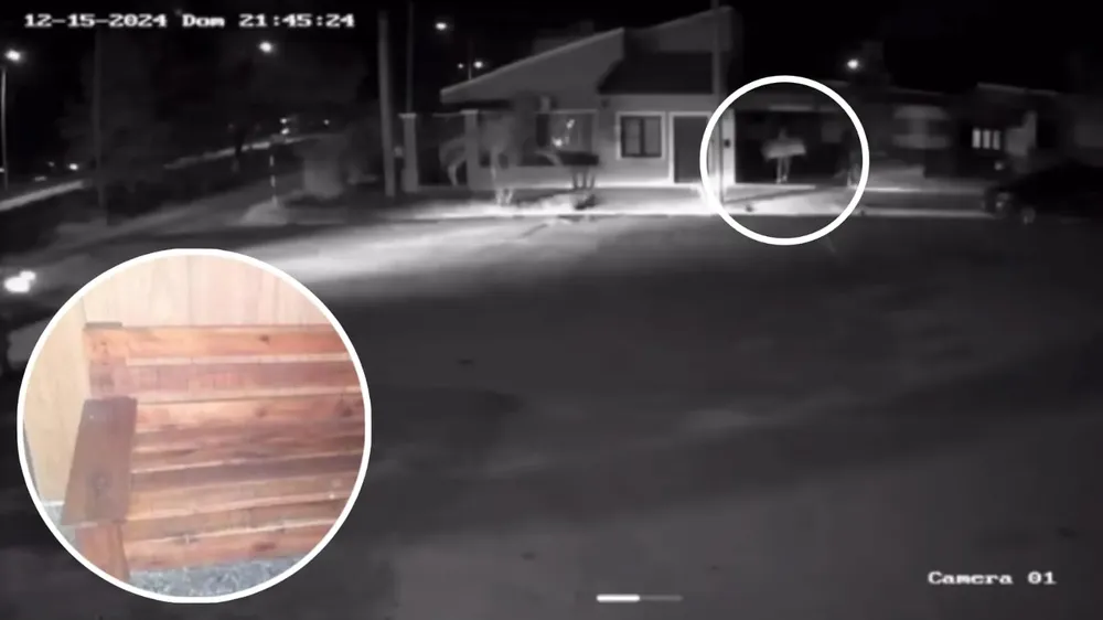 87a633a6-7f95-4940-980b-6cf3d66ce499