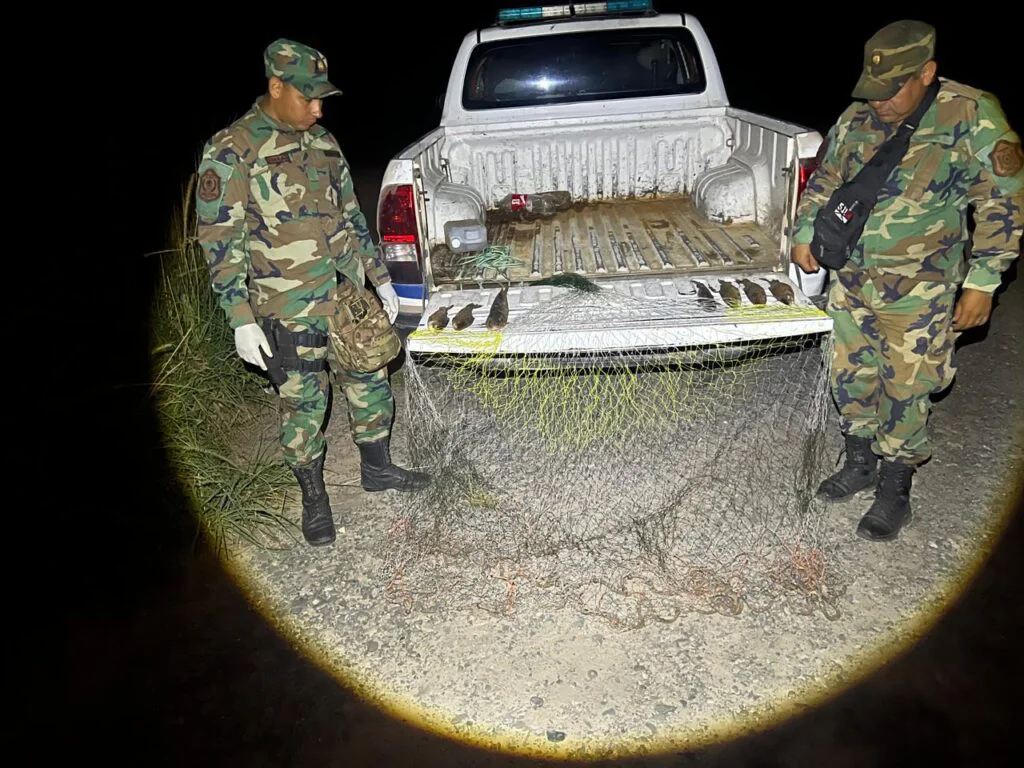 WhatsApp-Image-2026-04-04-at-01.38.39-1024x768