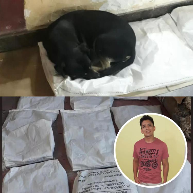 43E465D7-C424-4D2D-963F-E61A7D9B708F