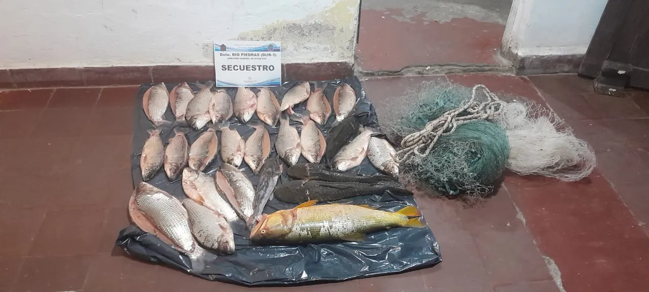 d5fc71cb-1d88-4111-93f9-e096f329ef78