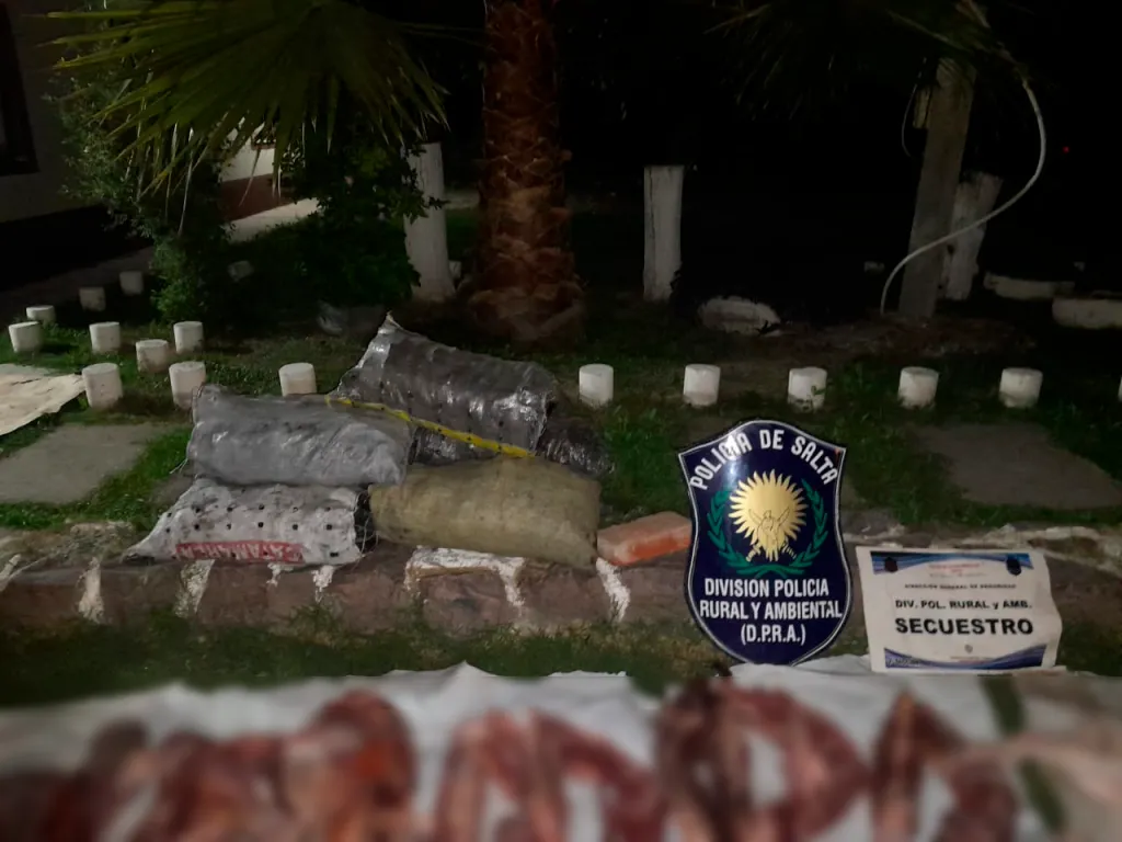 WhatsApp-Image-2024-11-17-at-11.20.52-AM-1024x768