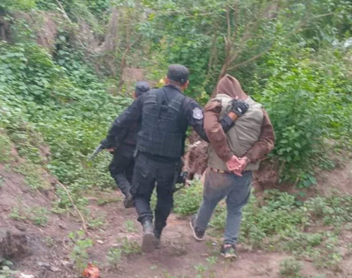 FB_IMG_1732297076630