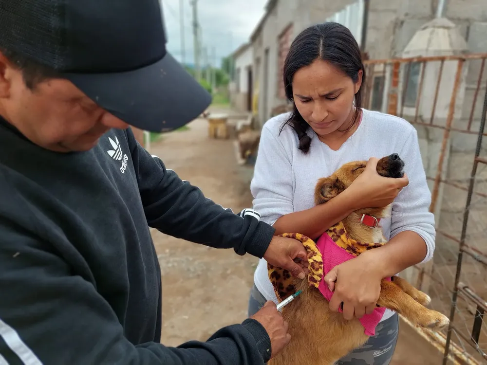 467906050_881205660865126_4733561316384504570_n