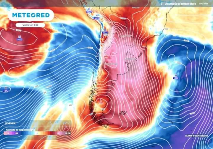 WhatsApp Image 2024-07-28 at 5.26.30 PM