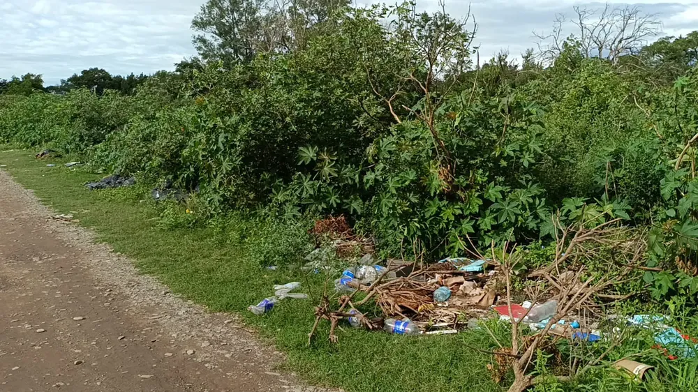 9e9d3d44-253e-4233-972b-9fc16a4b9659