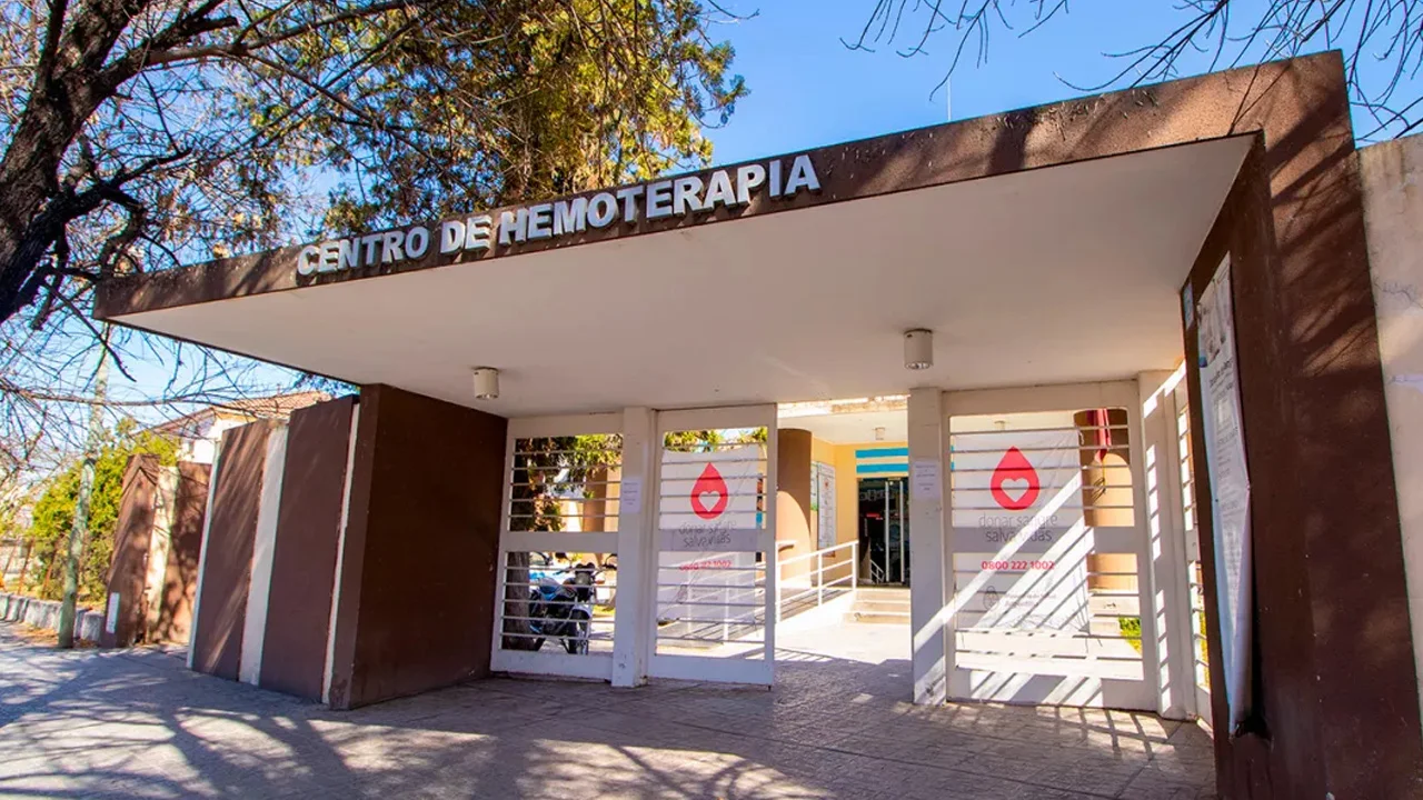Sin título-1