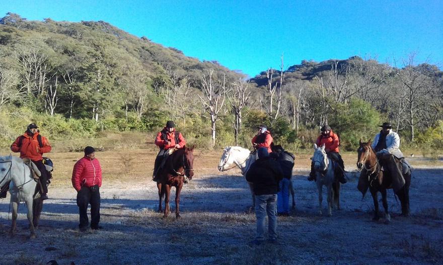 Búsqueda-Condorí-02