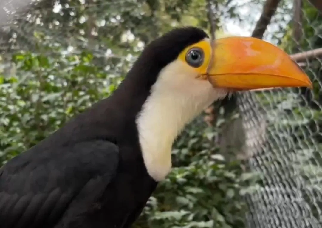 0a294217-3503-4424-8f3b-4ba3b0a14039