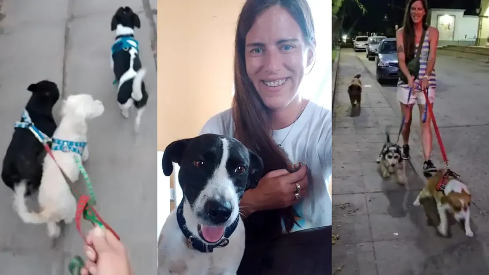 c2b6fc6e-e900-4b99-9802-de7ca5448265