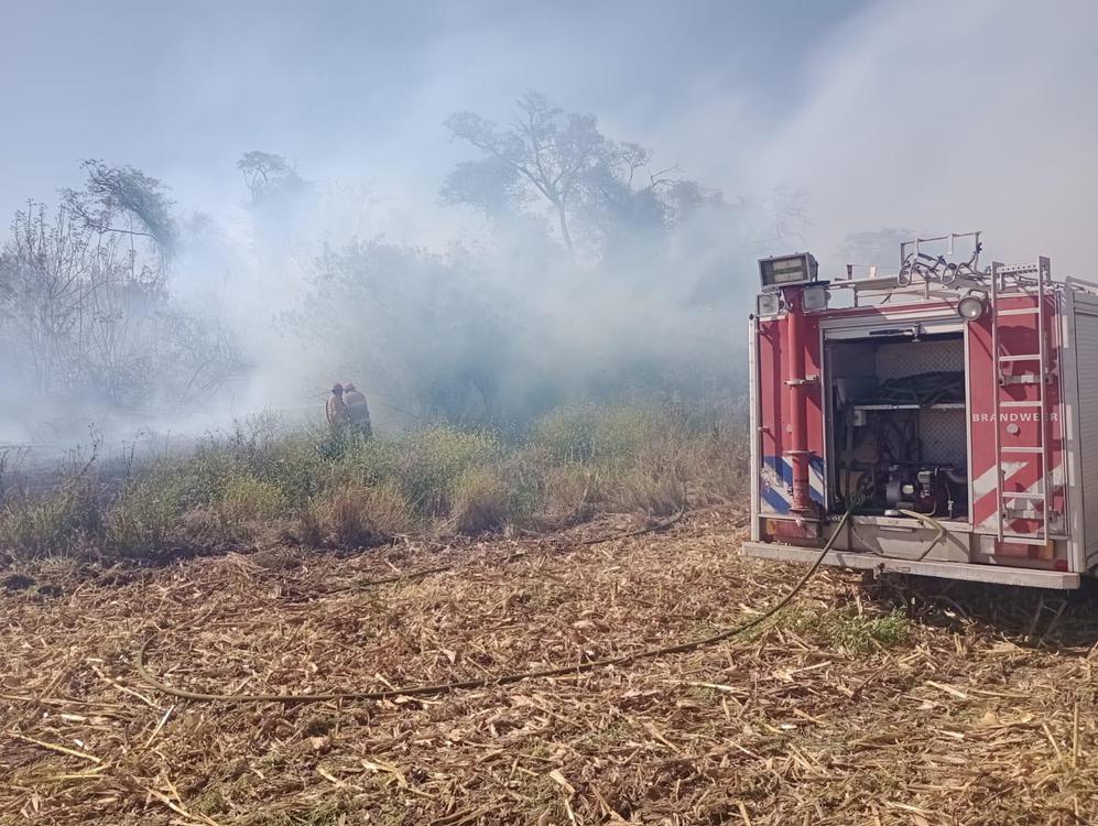 WhatsApp Image 2024-08-13 at 5.46.05 PM