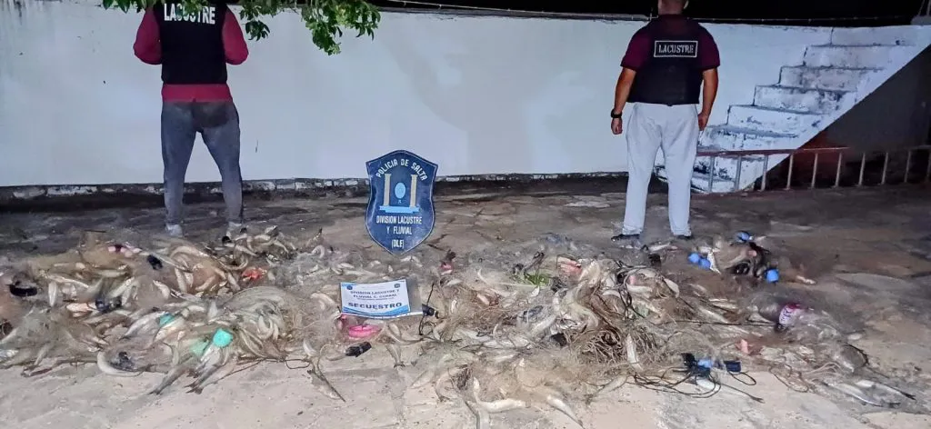 WhatsApp-Image-2025-03-10-at-10.17.51-PM-1-1024x472