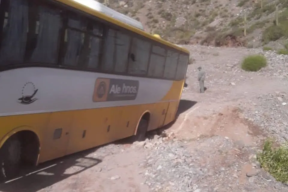 WhatsApp Image 2025-04-01 at 10.16.24