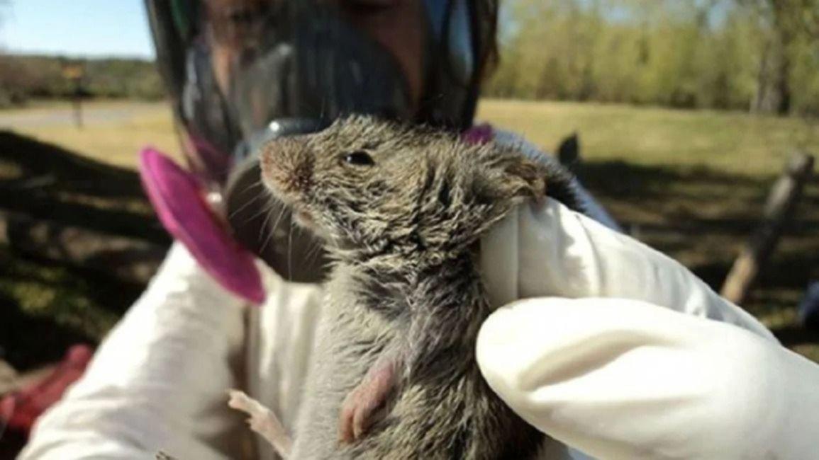 WhatsApp Image 2024-07-23 at 10.08.29 AM