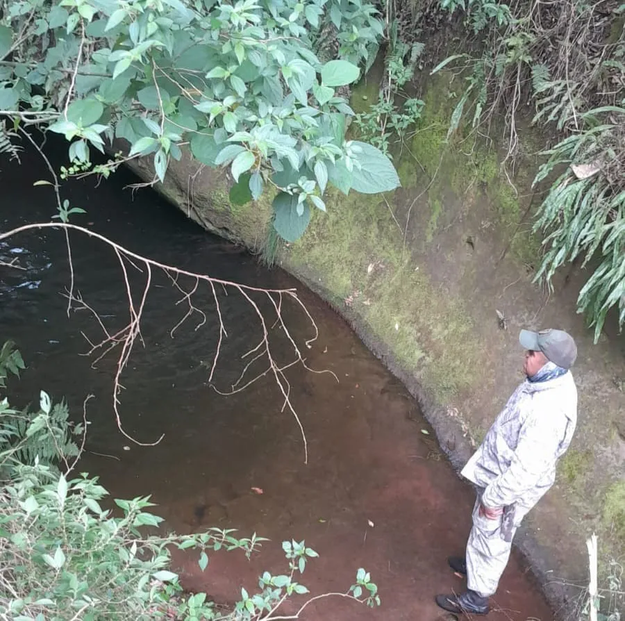 WhatsApp Image 2024-10-29 at 08.56.31