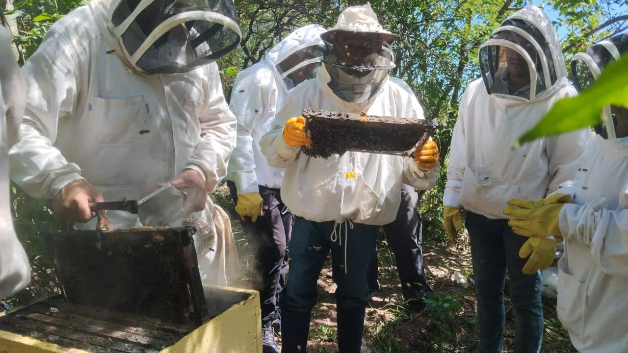 481084101_949775920674766_6255785086673499489_n