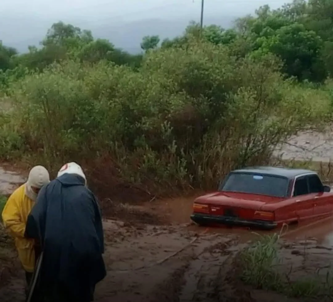 WhatsApp Image 2026-03-03 at 6.53.02 PM (3)