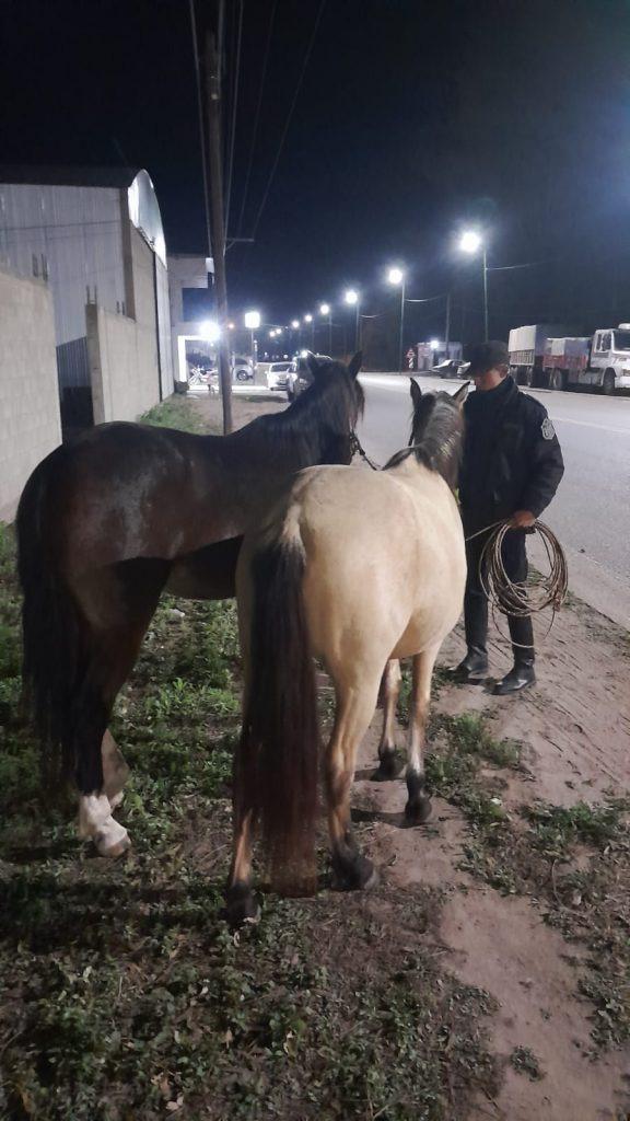 WhatsApp Image 2024-07-01 at 9.26.45 AM