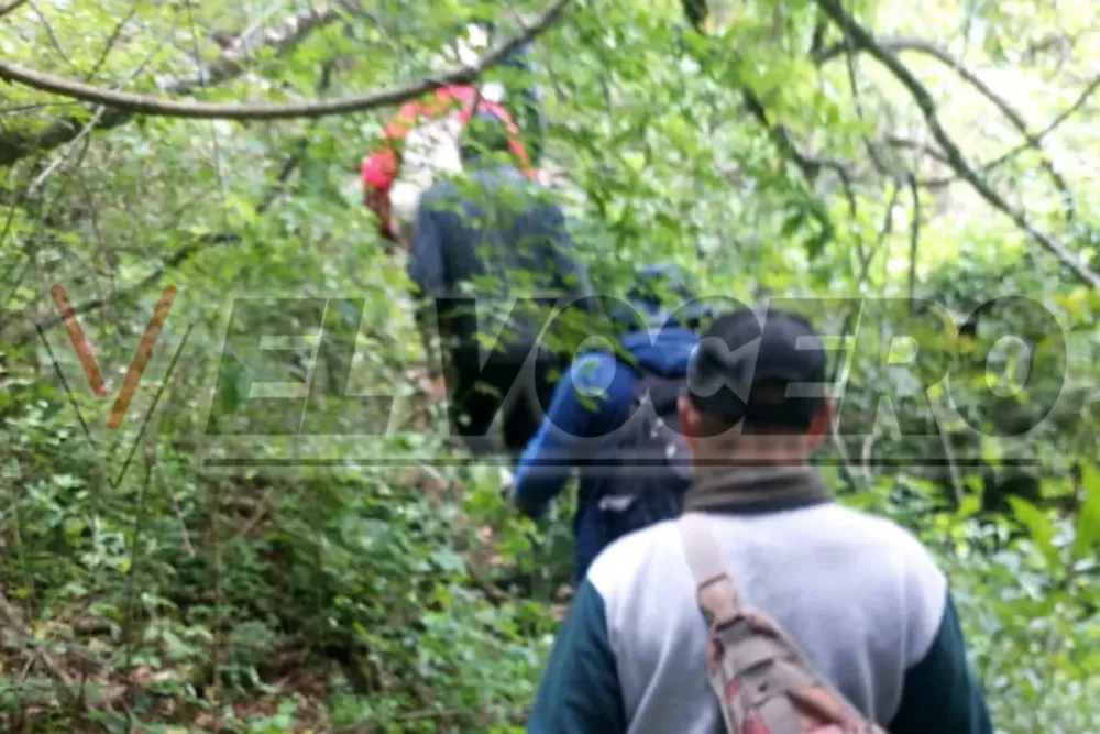 WhatsApp Image 2024-10-28 at 10.33.51 (2)