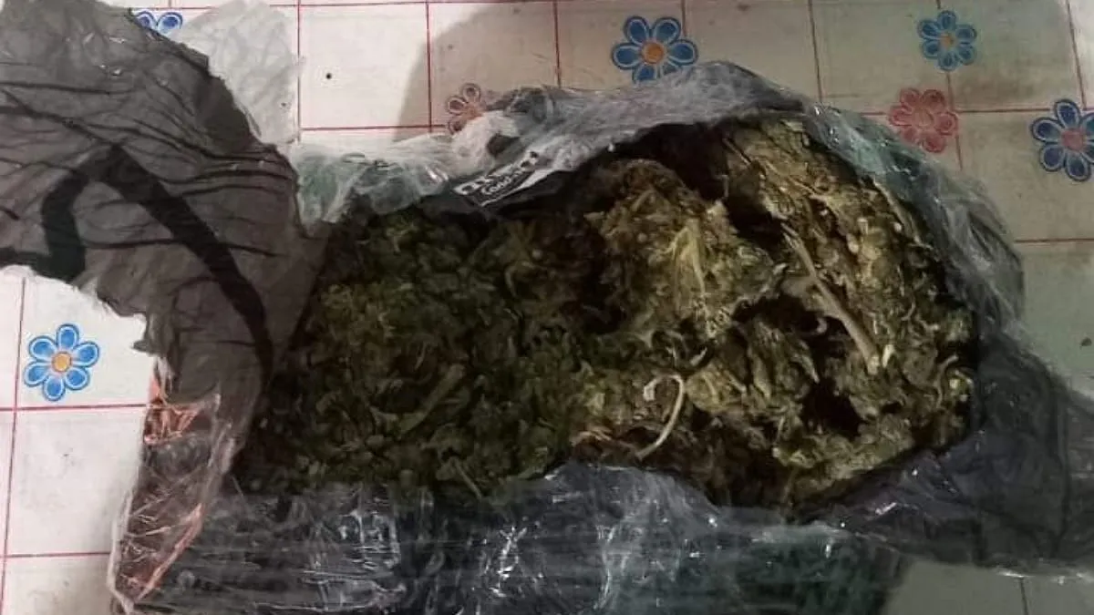 multimedia.normal.85f40f8498101eb8.TWFyaWh1YW5hX25vcm1hbC53ZWJw