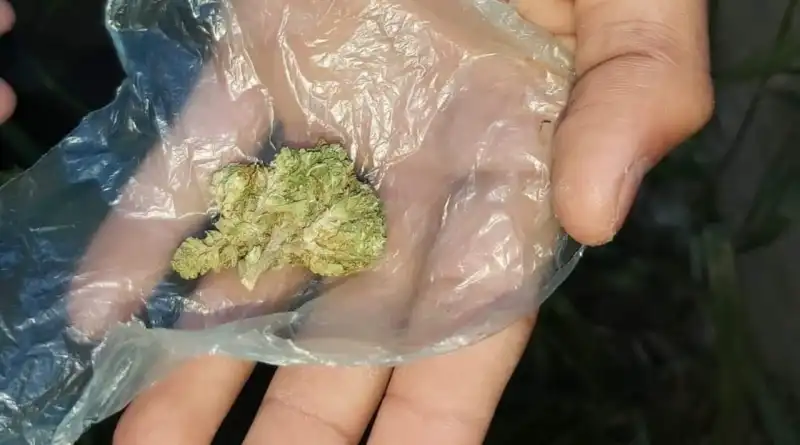 afd83645-3532-45f4-bb0c-283bc3c00655