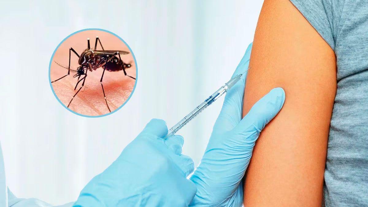vacuna-contra-dengue-463780-205747