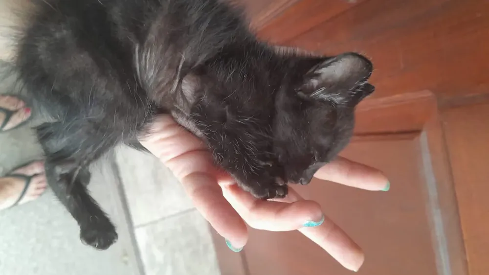 90f2a8a9-0a1c-43f4-9a35-081e747a14dc