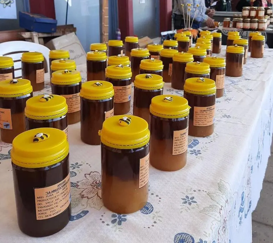 multimedia.normal.b4ae3ea84eeb1093.576861747341707020496d61676520323032322d30352d32302061742031322e5f6e6f726d616c2e6a706567