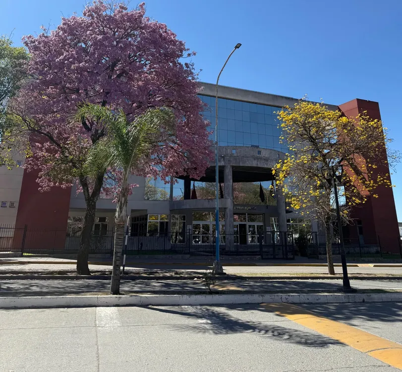 frente de tribunales