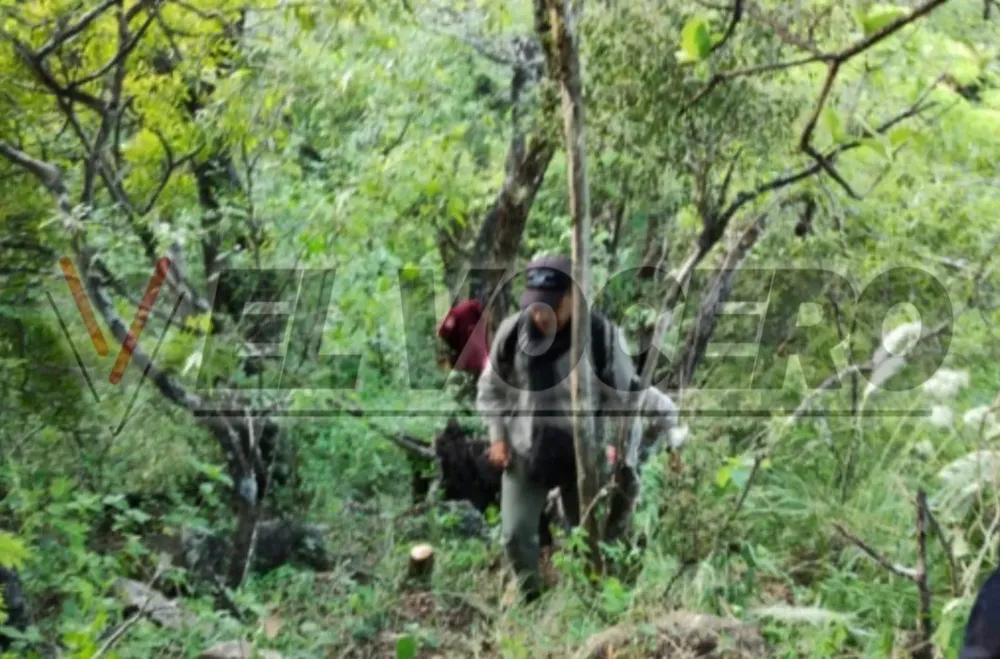 WhatsApp Image 2024-10-29 at 09.43.27