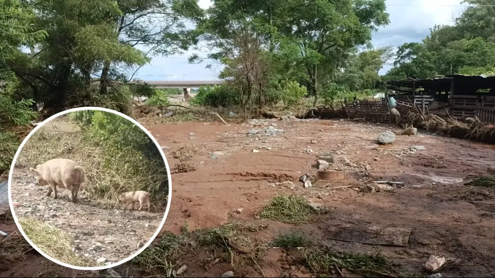 fbabdad3-4c64-4ee5-85cc-80e2f860a227