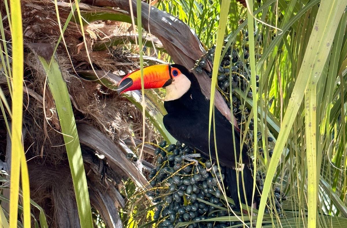 WhatsApp Image 2023-08-03 at 18.37.32