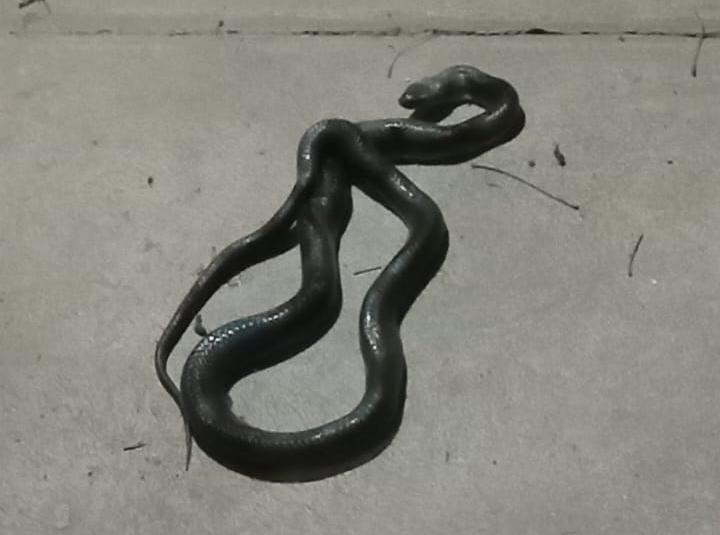 93a21087-ffb5-4390-ac5d-4883b096a662