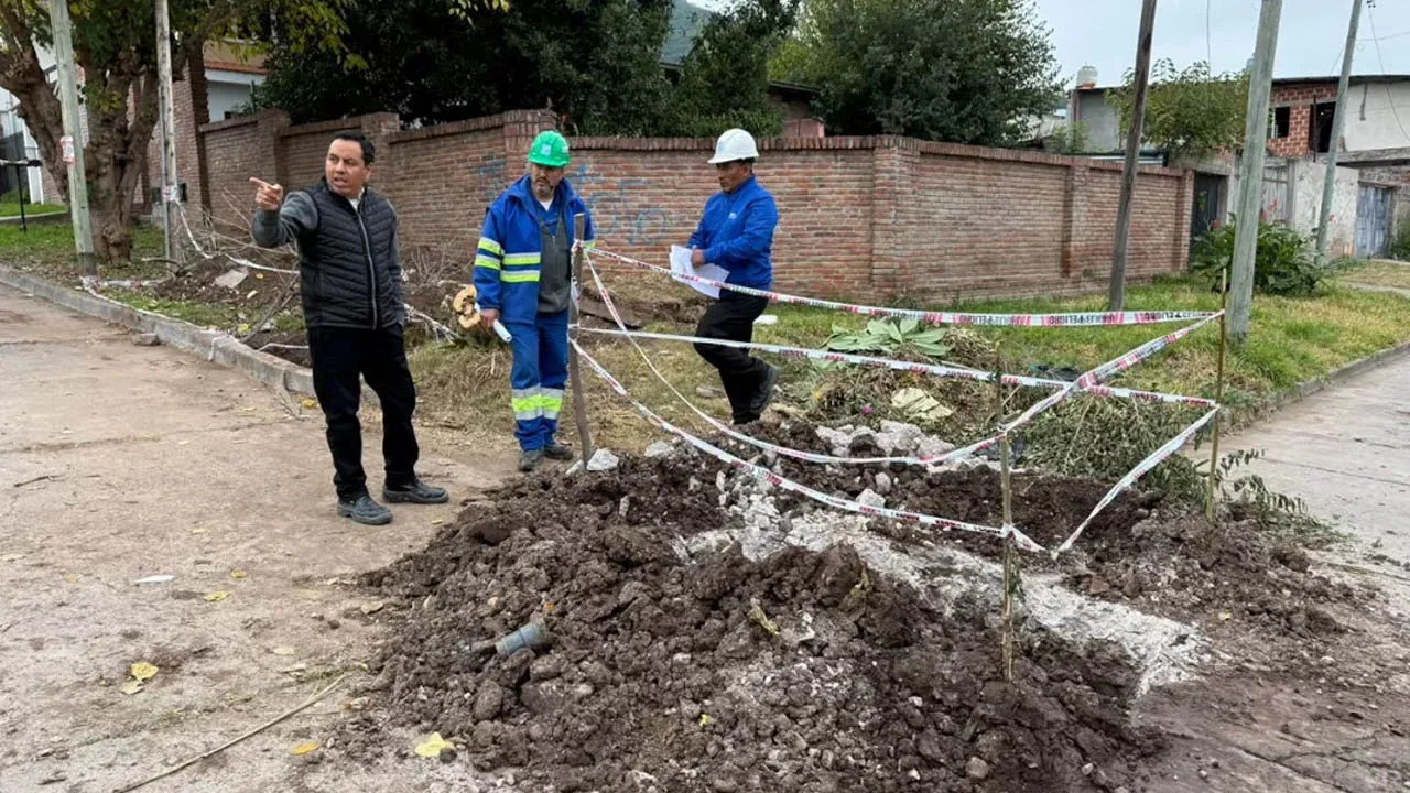 Sin título-1