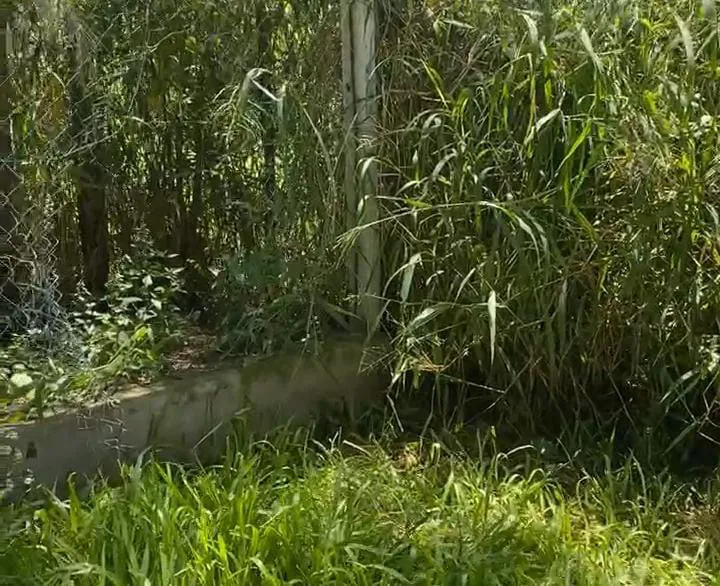 63071596-8009-48dc-8b8a-a44301a2acda