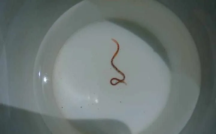 0cdc0d1b-52a9-4e48-b2b6-90d98df90c7c