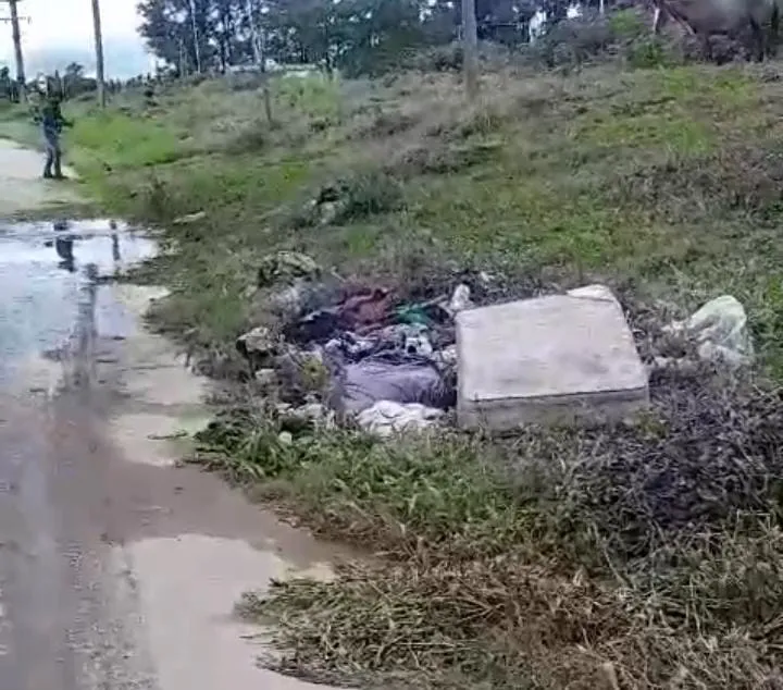 3e9c10db-06cc-4fda-8a50-e4ce43dadb7d