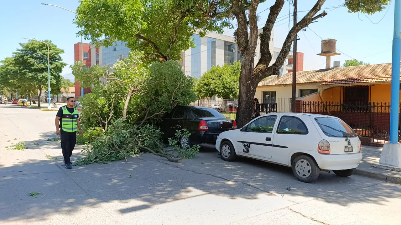 WhatsApp Image 2024-10-25 at 12.31.39 PM