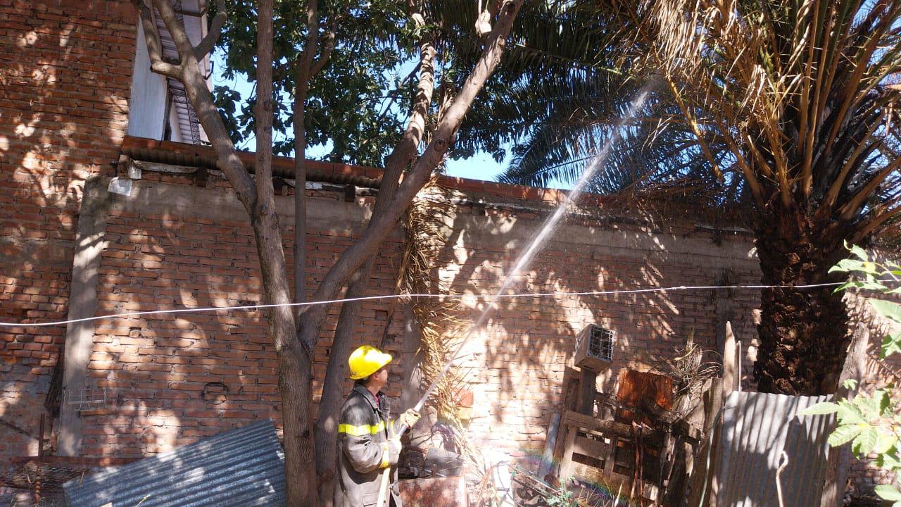 WhatsApp Image 2023-08-01 at 18.02.16