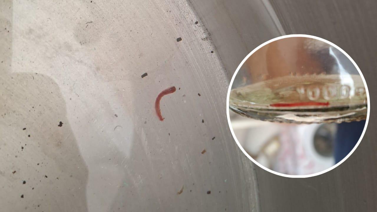 c6bbd073-8a74-4170-b976-e6baa8b18bcb