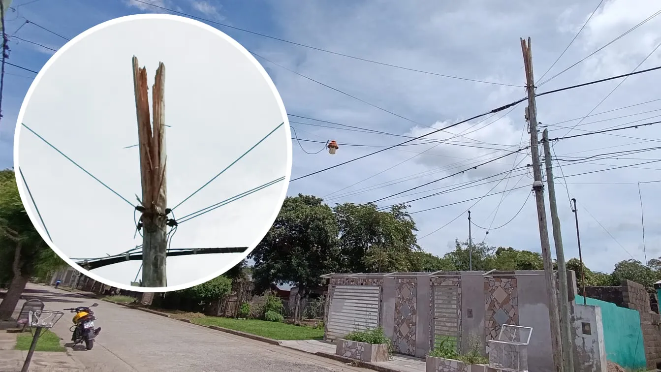 2a824fce-73e2-4e19-96ce-c48e99368bf9