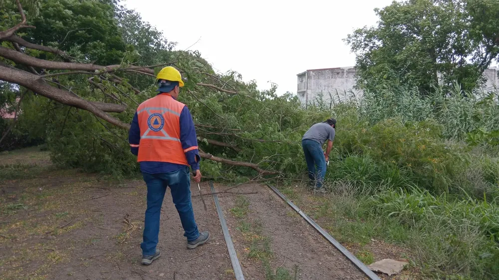 820be31b-497f-4ab8-930e-caa93c729da4